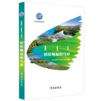 正版新书]团结崛起的乌审阿拉腾图雅,奇海林,杨勇 著97875077618