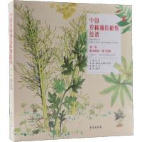 正版新书]中国珍稀濒危植物绘谱 第1卷 蕨类植物·裸子植物 大众