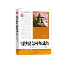 正版新书]钢铁是怎样炼成的(苏联)奥斯特洛夫斯基9787508735429