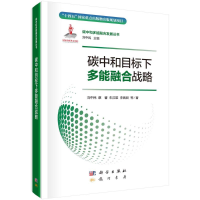 正版新书]碳中和目标下多能融合战略包安明9787508863702