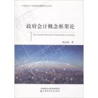 正版新书]政府会计概念框架论陈志斌9787509579039