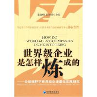 正版新书]世界级企业是怎样炼成的李建明 彭剑锋9787509615959