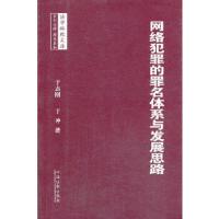 正版新书]网络犯罪的罪名体系与发展思路于志刚,于冲 著978750