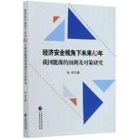 正版新书]经济安全视角下未来10年我国能源的预测及对策研究张帅