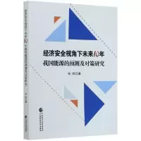 正版新书]经济安全视角下未来10年我国能源的预测及对策研究张帅