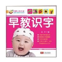 正版新书]启蒙认知大全-早教识字孙平9787510140891