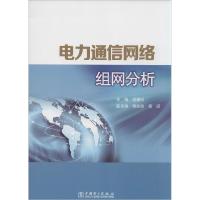 正版新书]电力通信网络组网分析蒋康明 主编9787512359468