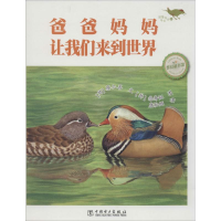 正版新书]爸爸妈妈让我们来到世界-温情科普绘本-6蔡仁善9787512