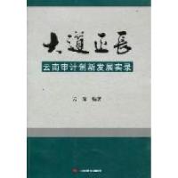正版新书]大道正长:云南审计创新发展实录云深9787511909619