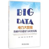 正版新书]电力大数据基础平台建设与应用实践王扬//于海涛//张旭