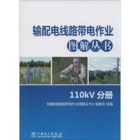 正版新书]输配电线路带电作业图解丛书(110KV分册)王力农97875