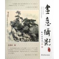 正版新书]画意摄影(附光盘第2版)王晓军9787512337855