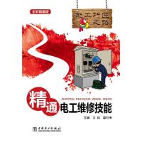 正版新书]精通电工维修技能-全彩精编版王建9787512356818
