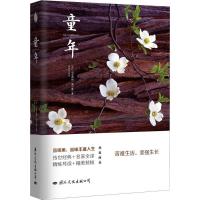 正版新书]童年马克西姆·高尔基9787512508972