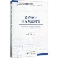正版新书]政府统计国际规范概览高敏雪9787514182262