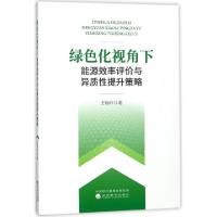 正版新书]绿色化视角下能源效率评价与异质性提升策略王晓岭9787