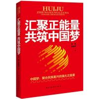 正版新书]汇聚正能量 共筑中国梦:中国梦:聚合民族复兴的强大正