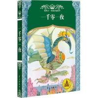 正版新书]一千零一夜解传广, 王红, 王晓明9787514701319