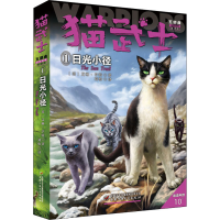 正版新书]日光小径 新译本(英)艾琳·亨特 著 刘怡 译97875148608