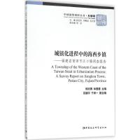 正版新书]城镇化进程中的海西乡镇:福建省莆田市江口镇调查报告