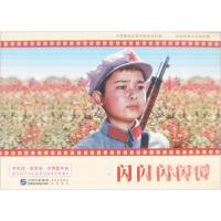 正版新书]中国革命史百年影视全记录:闪闪的红星赵刚 著978751