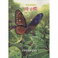 正版新书]幼儿认知手绘本?叶子蝶张晋霖9787516507575