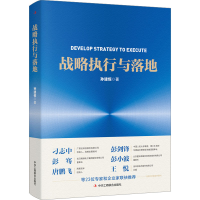 正版新书]战略执行与落地孙建恒9787515837666