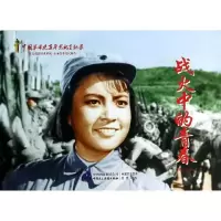 正版新书]战火中的青春赵刚9787516204320