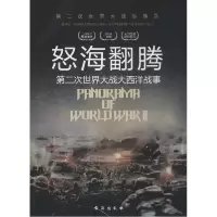 正版新书]怒海翻腾:第二次世界大战大西洋战事胡元斌9787516802