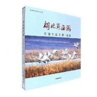 正版新书]翩跹黄海潮-东港生态之美.鸟韵刘晓阳9787517906032