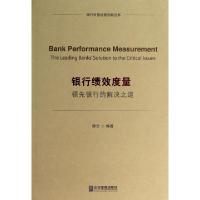 正版新书]银行绩效度量(领先银行的解决之道)/银行价值经营创新