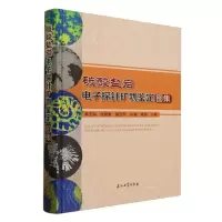 正版新书]碳酸盐岩电子探针矿物鉴定图集(精)秦玉娟//张建勇//胡