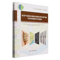 正版新书]安岳气田高石梯区块震旦系灯四气藏开发关键技术与实践