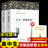 正版新书]大卫·科波菲尔 全译本平装版(全2册)(英)狄更斯 著 宋