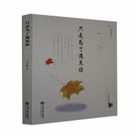 正版新书]只是为了遇见你李其波9787519044664