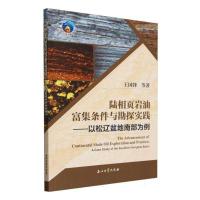 正版新书]陆相页岩油富集条件与勘探实践.以松辽盆地南部为例王