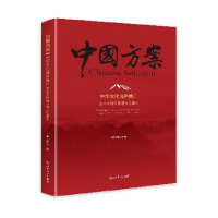 正版新书]中华文化海外推广:基于互联网环境与新媒介祝力新9787