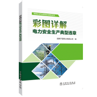 正版新书]彩图详解电力安全生产典型违章国网宁夏电力有限公司97