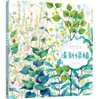 正版新书]唯美花草手绘技法系列 清新绿植沈晔9787519836276
