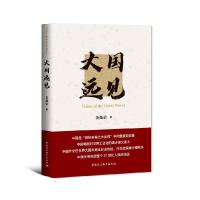 正版新书]大国远见金灿荣9787520374385