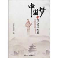 正版新书]中国梦与当代青年发展北京青少年研究所9787520312233