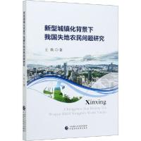 正版新书]新型城镇化背景下我国失地农民问题研究王轶9787522300