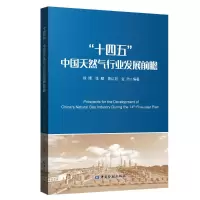 正版新书]十四五中国天然气行业发展前瞻徐博9787522010670