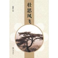 正版新书]壮思风飞(精装)石孝军著9787522502250
