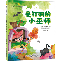 正版新书]爱打洞的小巫师段立欣9787531593416