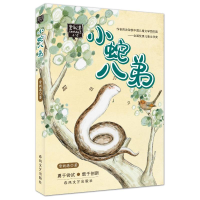 正版新书]小蛇八弟常新港9787531344537