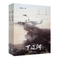 正版新书]下辽河(全2册)董征宇 著9787531367468