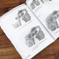 正版新书]素描基础入门--风景七彩绘工作室 绘9787531483281