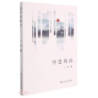 正版新书]何处梅山丁斌著9787531751458