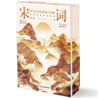 正版新书]宋词 印在心间的柔婉与风雅战琳 著9787531765424